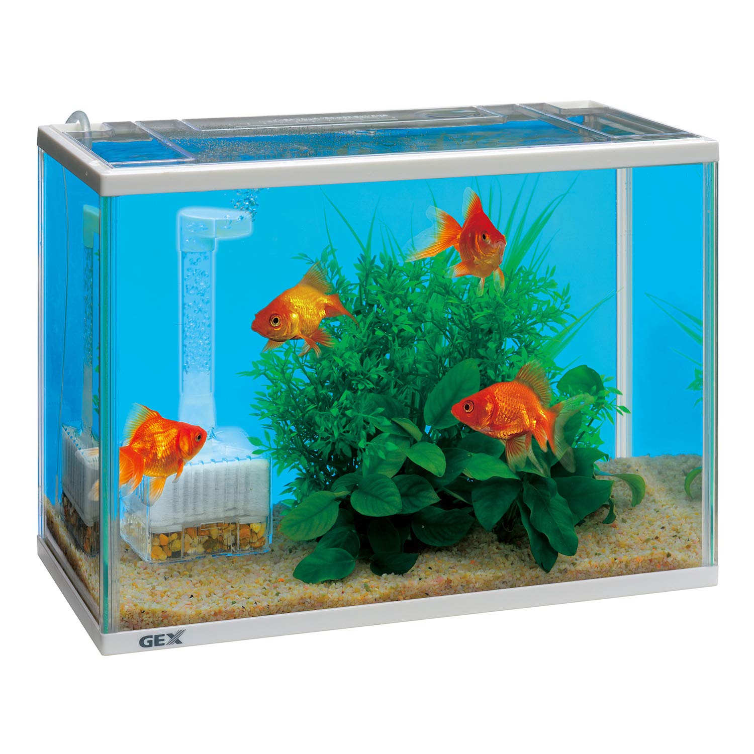 GEX　ジェックス　水槽　飼育セット　金魚　観賞魚　水槽セット　スリム水槽 Amazon | ジェックス 金魚元気 水きれいセットM | ジェックス | 飼育